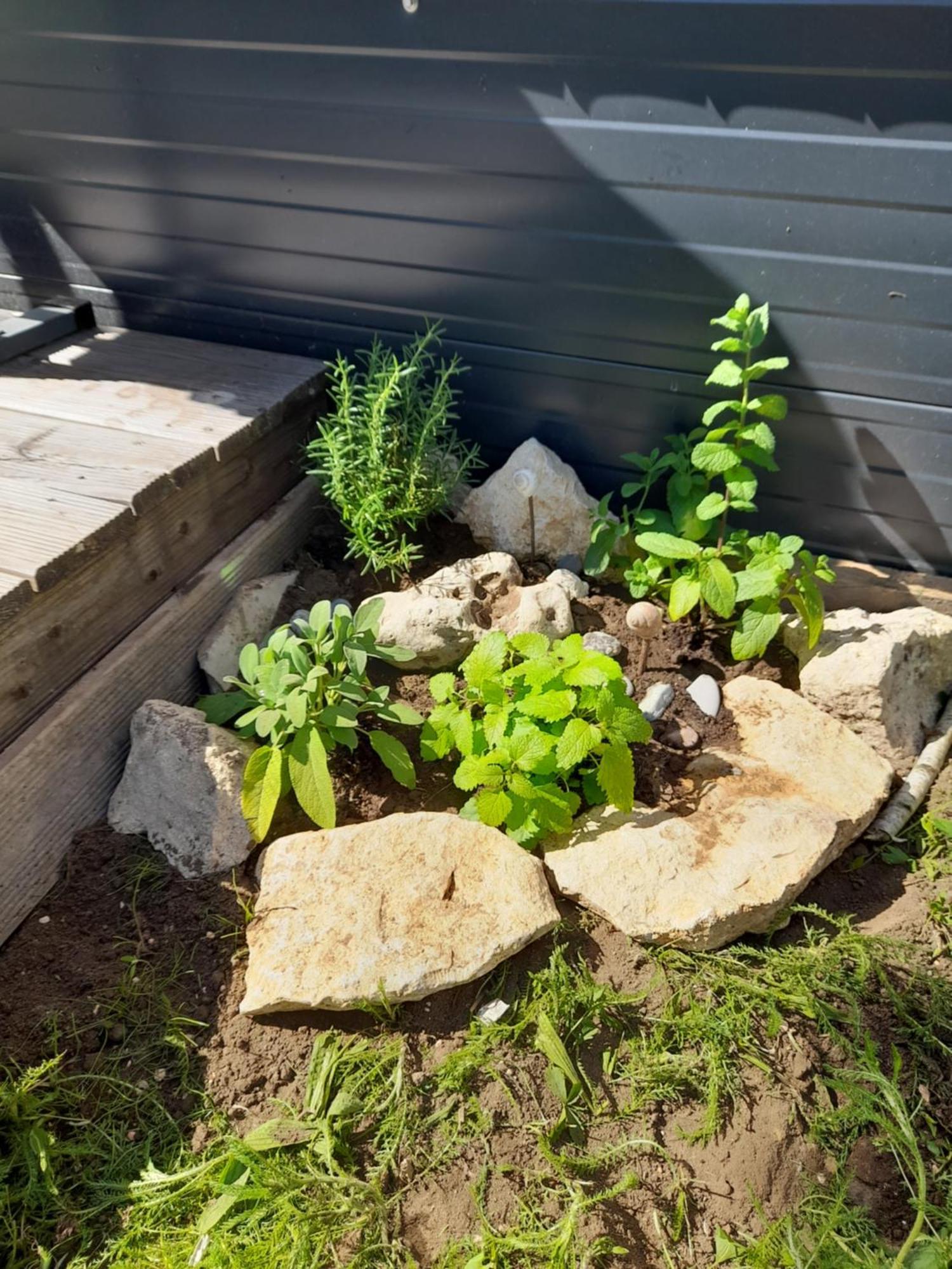فيلا Tinyhouse Wemding المظهر الخارجي الصورة
